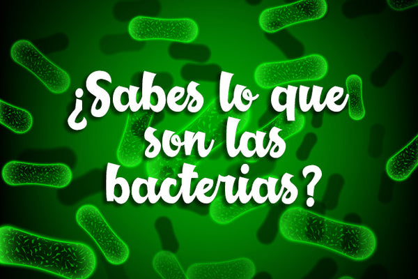 ¿Sabes lo que son las bacterias?